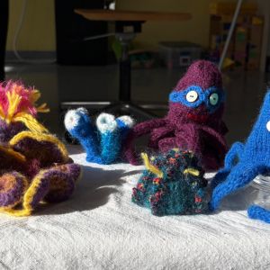 WhatsApp Image 2025-10-28 at 16.40.19 (1)