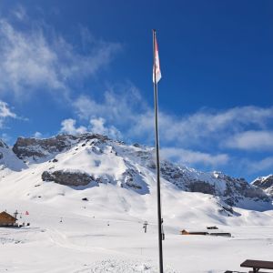 PHOTO-2026-03-12-17-14-06 7