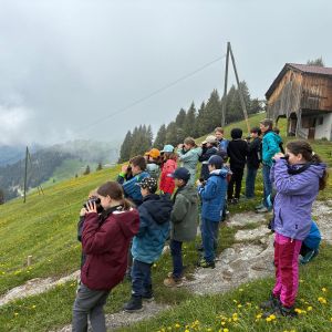 Bergvogel (7)