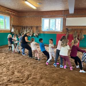 Schwingen (11)