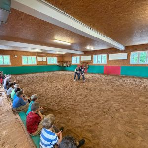 Schwingen (5)