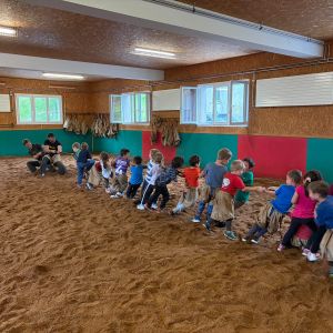 Schwingen (8)