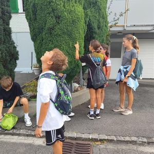 a8e05477-00c1-432e-82fe-0fa8e4b82fa8