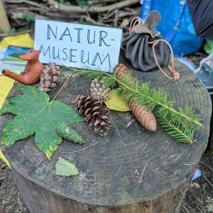 NatURkraft - Teil 1 (101)