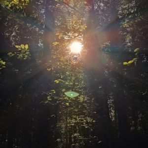 NatURkraft - Teil 1 (103)