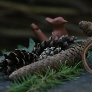 NatURkraft - Teil 1 (83)